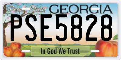 GA license plate PSE5828