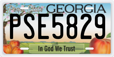 GA license plate PSE5829