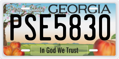 GA license plate PSE5830