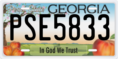 GA license plate PSE5833