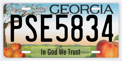 GA license plate PSE5834