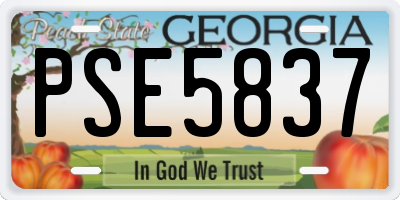 GA license plate PSE5837