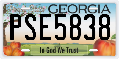 GA license plate PSE5838