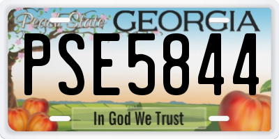 GA license plate PSE5844