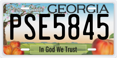 GA license plate PSE5845