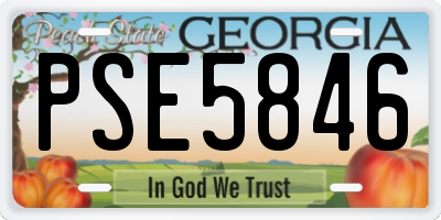 GA license plate PSE5846