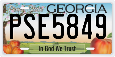GA license plate PSE5849