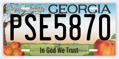 GA license plate PSE5870