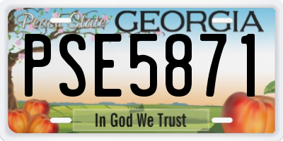 GA license plate PSE5871