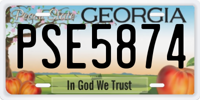 GA license plate PSE5874