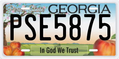 GA license plate PSE5875