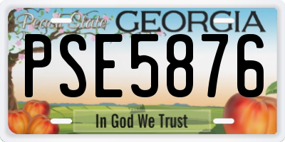 GA license plate PSE5876
