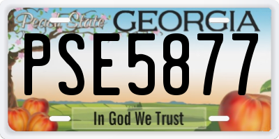 GA license plate PSE5877