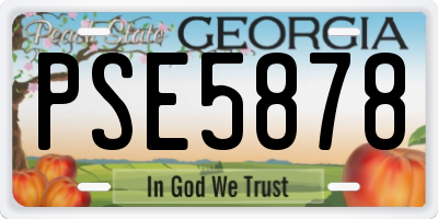GA license plate PSE5878