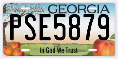 GA license plate PSE5879