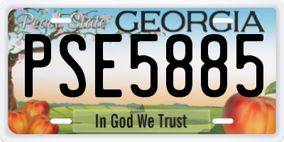GA license plate PSE5885