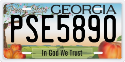 GA license plate PSE5890