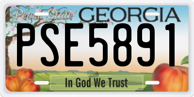 GA license plate PSE5891