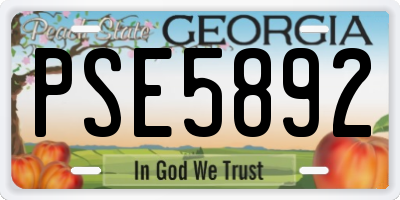 GA license plate PSE5892