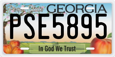 GA license plate PSE5895