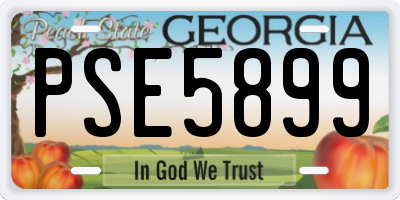 GA license plate PSE5899