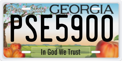 GA license plate PSE5900