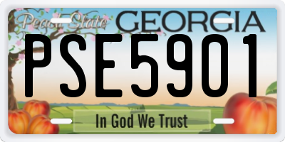 GA license plate PSE5901