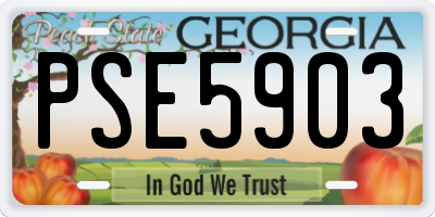 GA license plate PSE5903
