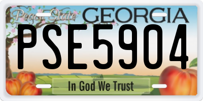 GA license plate PSE5904