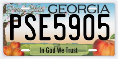 GA license plate PSE5905