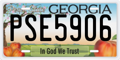 GA license plate PSE5906