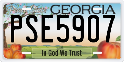 GA license plate PSE5907