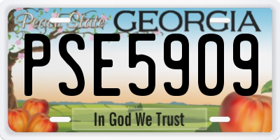 GA license plate PSE5909