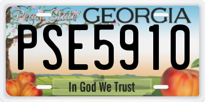 GA license plate PSE5910