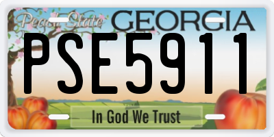 GA license plate PSE5911