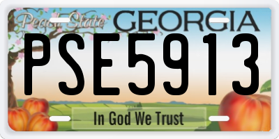 GA license plate PSE5913