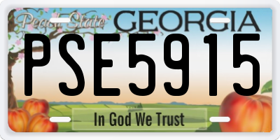 GA license plate PSE5915