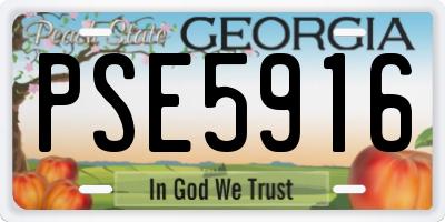 GA license plate PSE5916