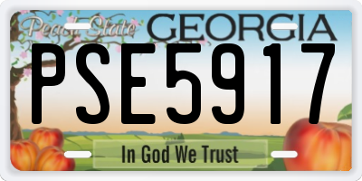 GA license plate PSE5917