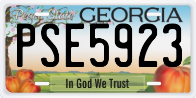 GA license plate PSE5923