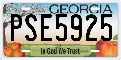 GA license plate PSE5925