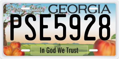 GA license plate PSE5928