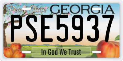 GA license plate PSE5937
