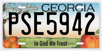 GA license plate PSE5942