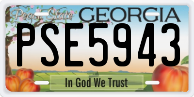 GA license plate PSE5943