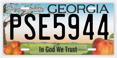 GA license plate PSE5944
