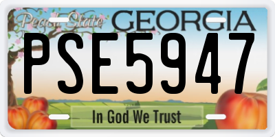 GA license plate PSE5947