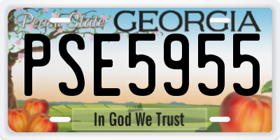 GA license plate PSE5955