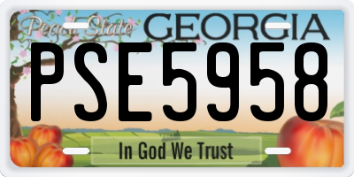 GA license plate PSE5958