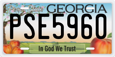 GA license plate PSE5960